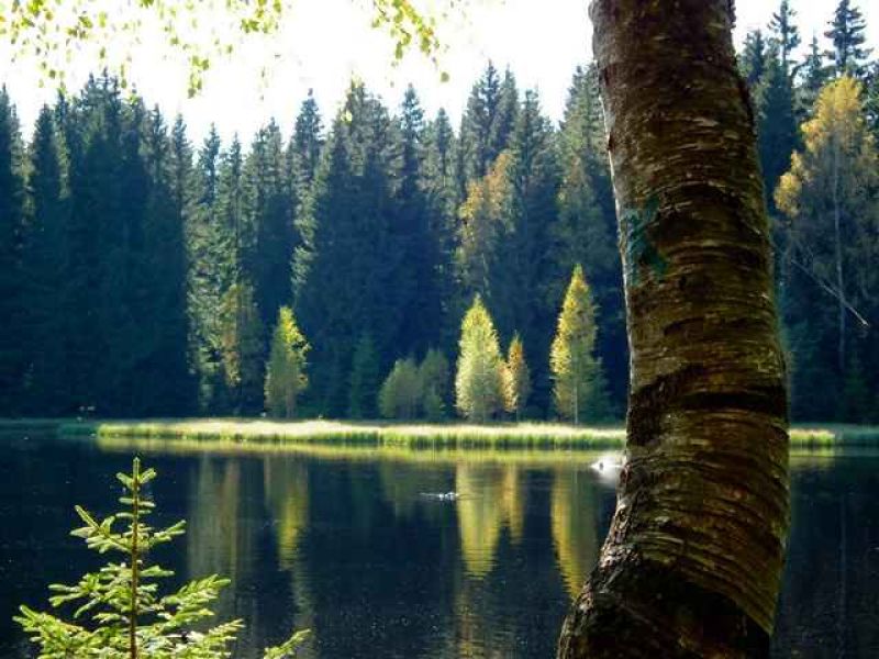 herbst am vogtlandsee.jpg